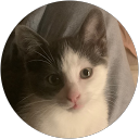 yi D. profile picture